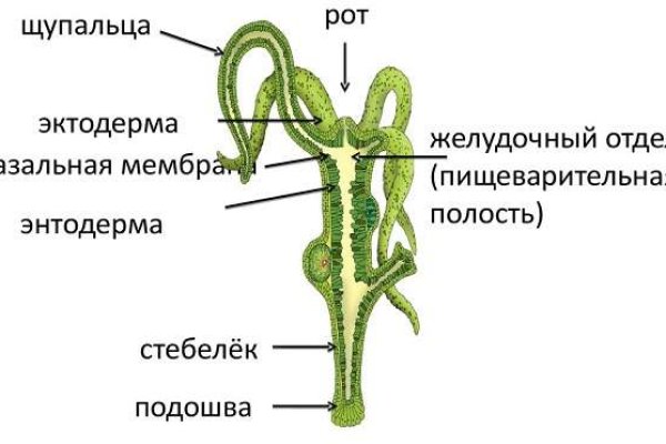 Зеркало omg тор ссылка