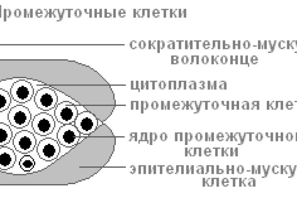 Omgomg официальная ссылка